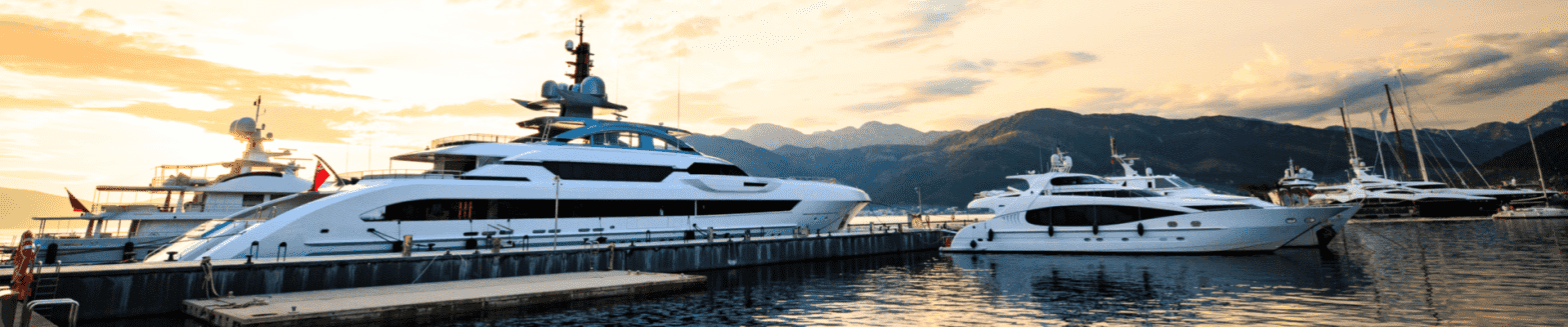 elitemarinas vs dockmaster marina management software elitemarinas vs dockmaster marina management software